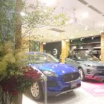 大暑　カーディーラー　生け込み